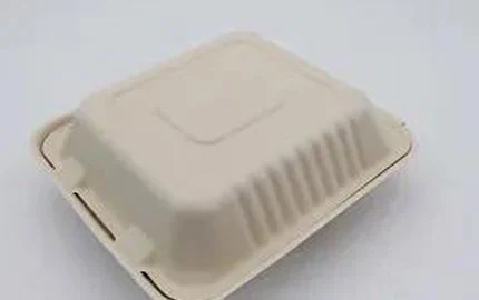 स्थायी से Biodegradable संयंत्र-आधारित डिस्पोजेबल 8 इंच 3 कंप्यूटर अनुप्रयोग सीपी बॉक्स
