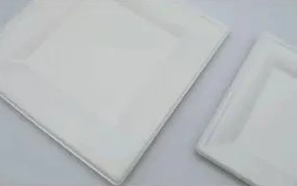 बायोडिग्रेडेबल बैगवे प्लांट फाइबर डिस्पोजेबल राउंड प्लेट