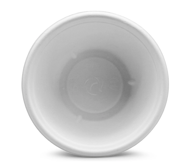 biodegradable plastic bowls