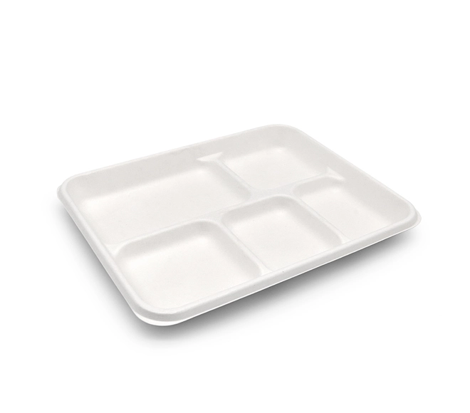 bagasse food trays