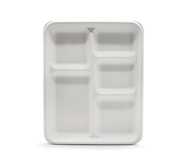 bagasse meal tray