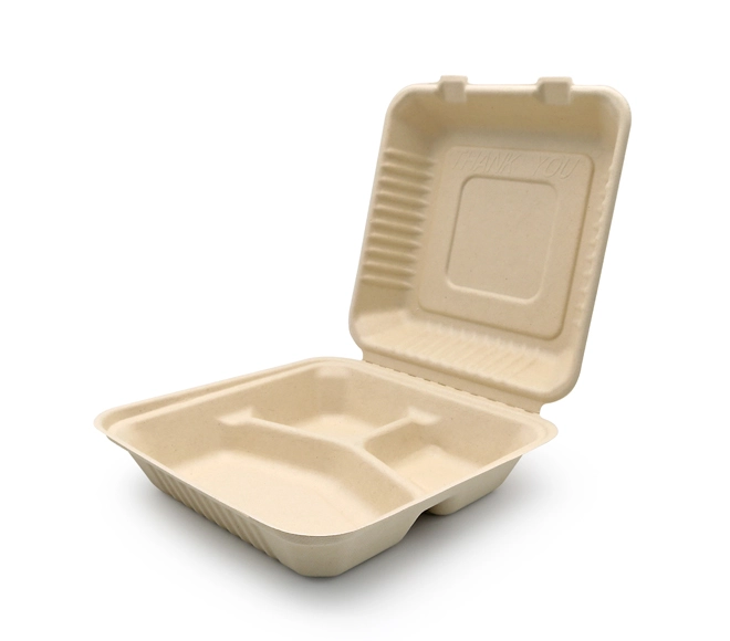 bagasse packaging