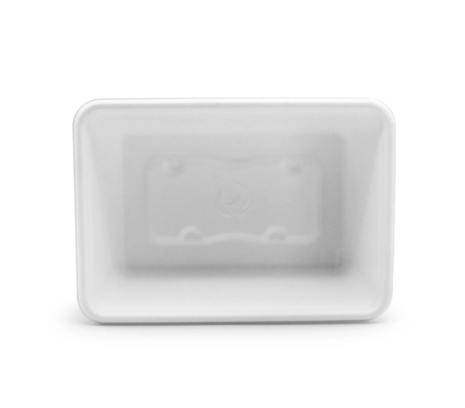 biodegradable food container