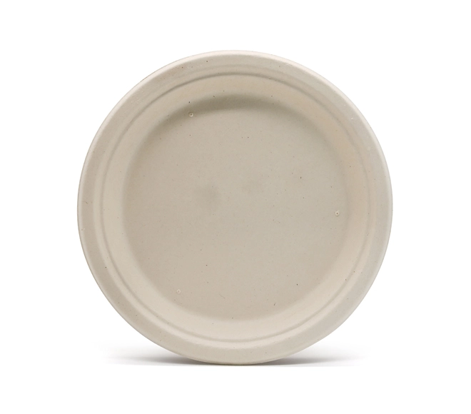 biodegradable sugarcane plates