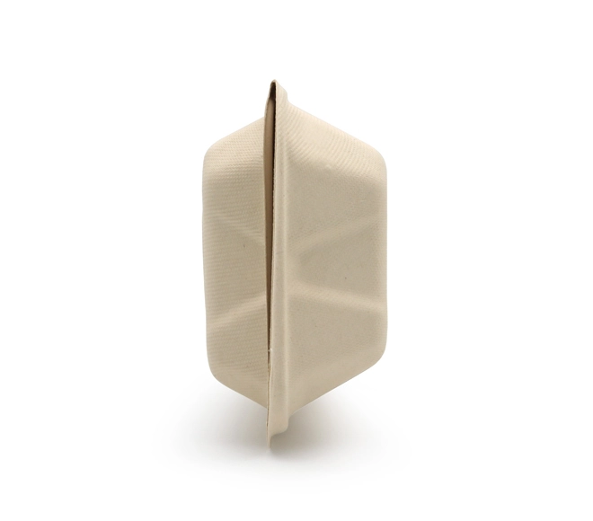 biodegradable take out food containers