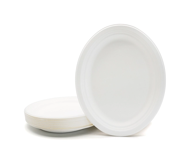 disposable plates for restaurants