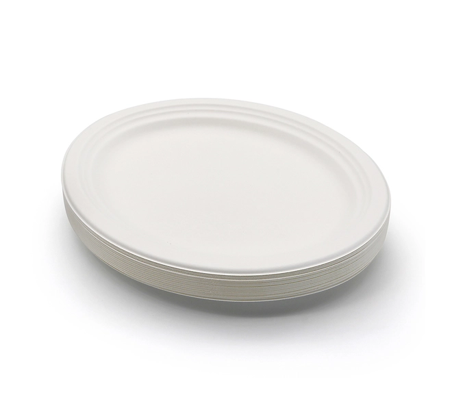 disposable plates restaurant