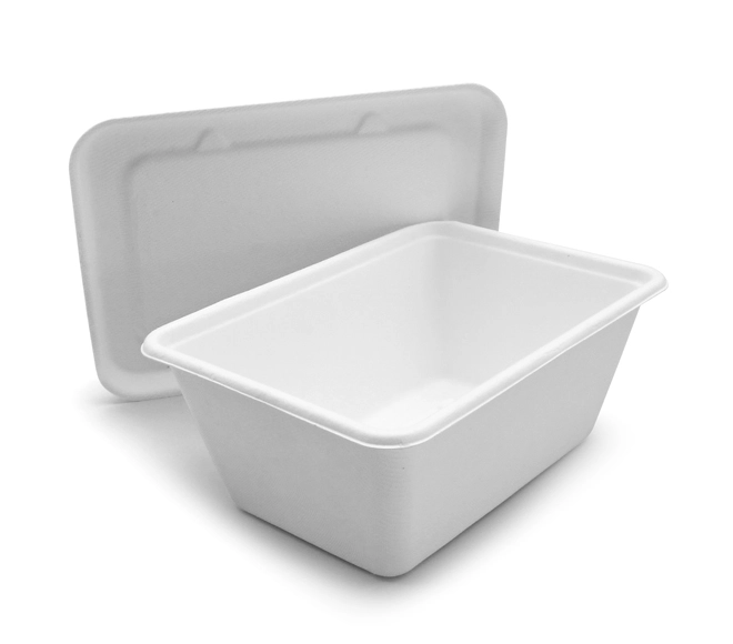 disposable takeaway containers
