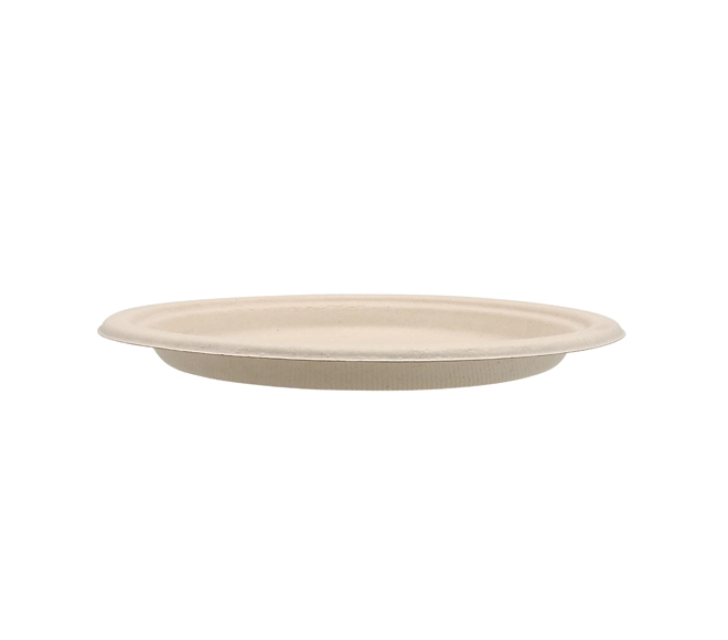 plates made from sugarcane