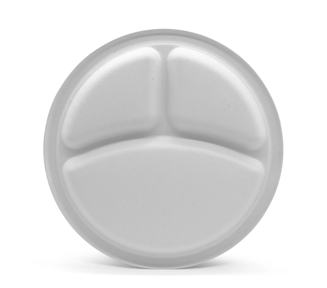 sugarcane plates manufacturers