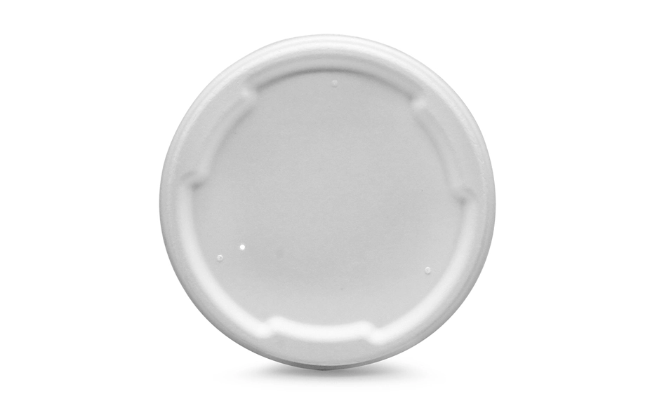 compartment paper plates