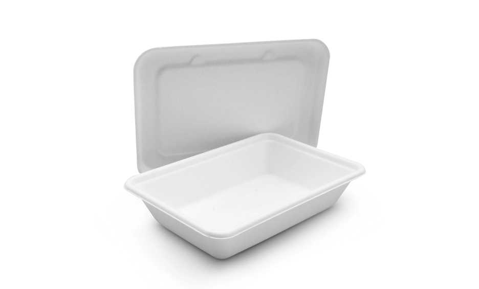 biodegradable coffee cups and lids
