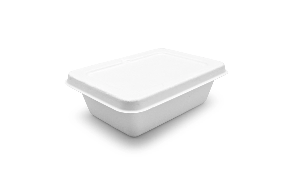biodegradable lunch containers