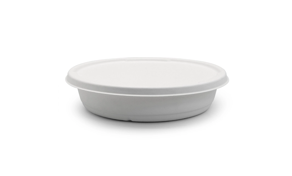 biodegradable serving trays