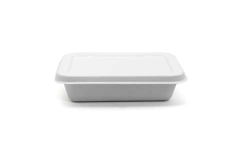compostable plastic containers