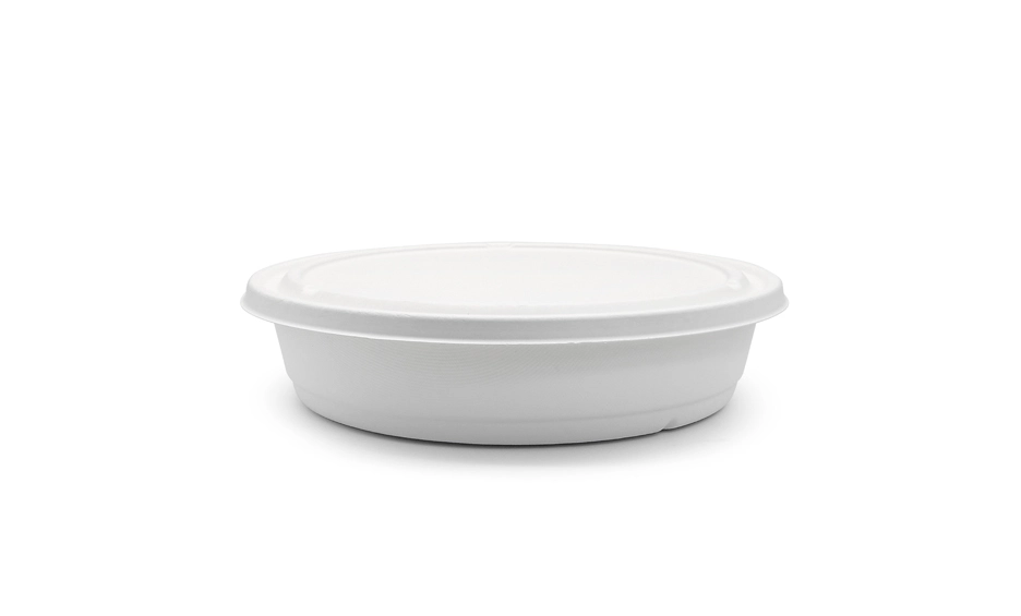 disposable buffet trays