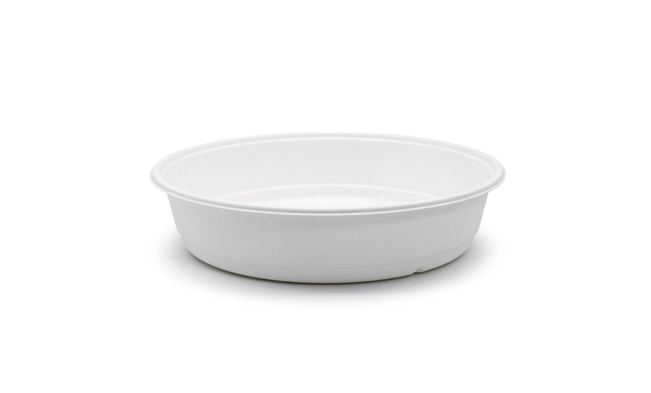 disposable lunch containers