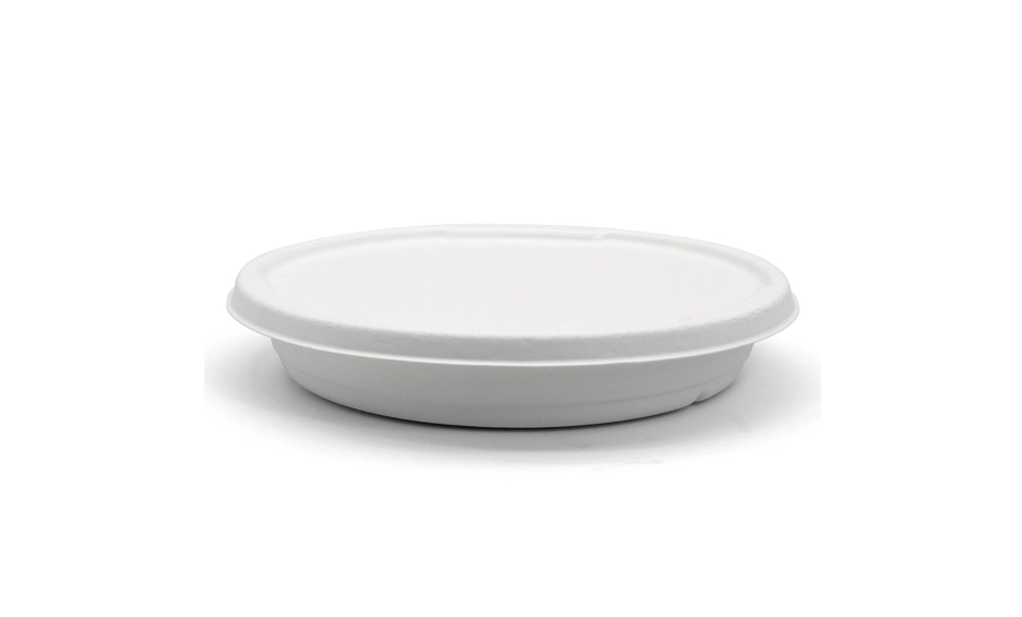 disposable snack plates