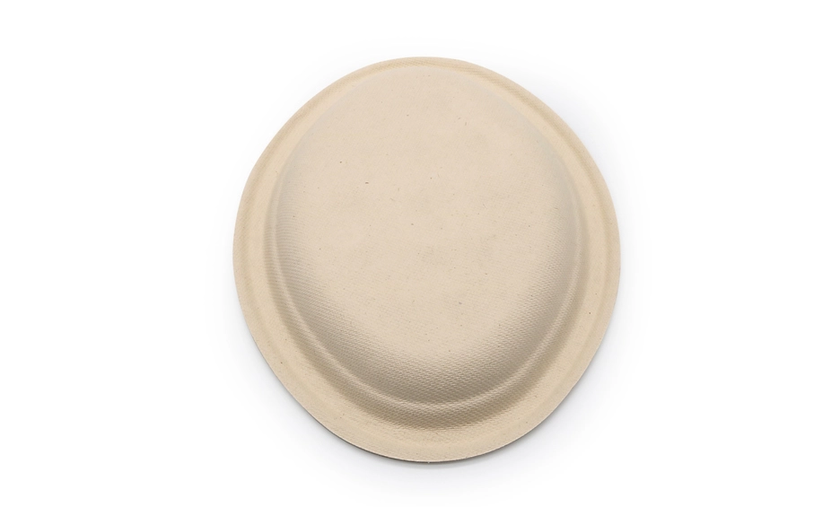 biodegradable bagasse tableware