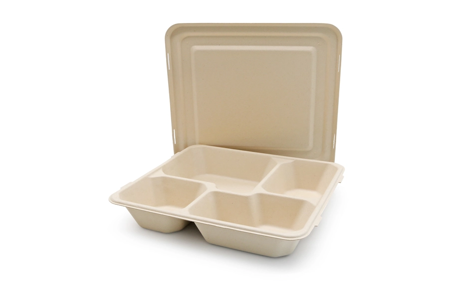 biodegradable hot cups