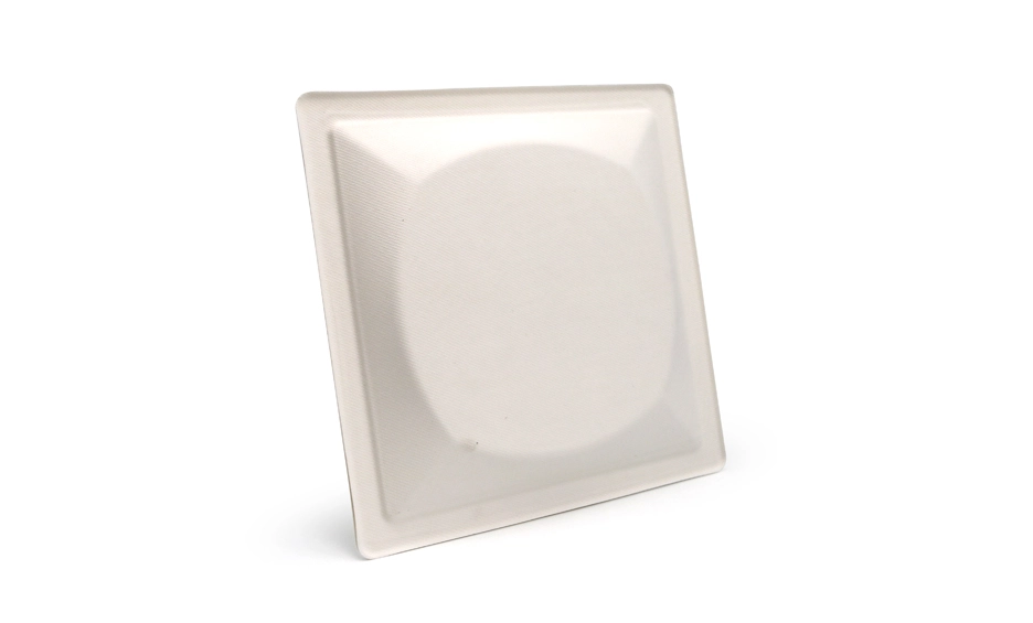 biodegradable plates