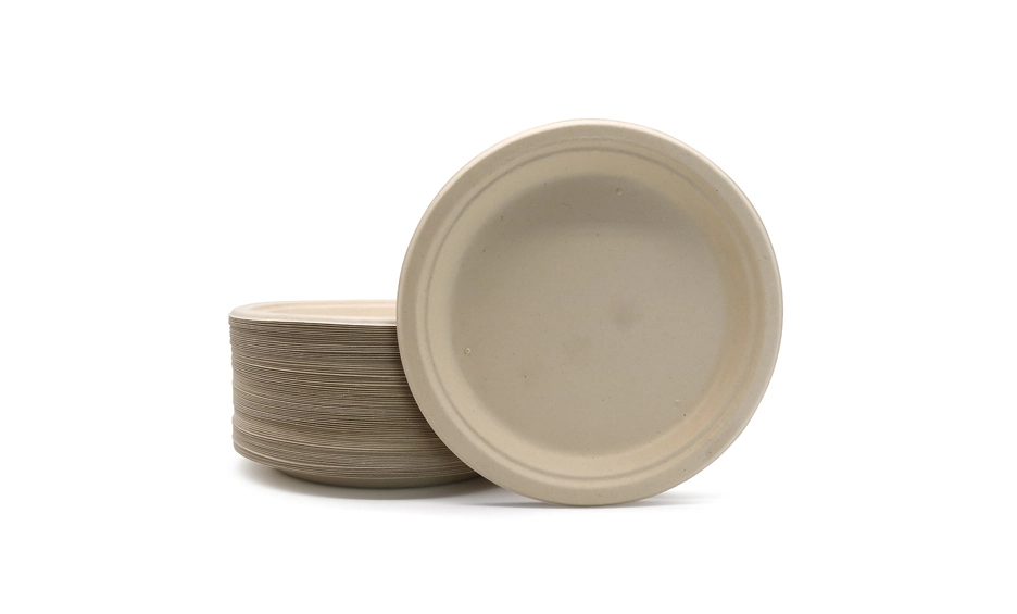 disposable plates for food