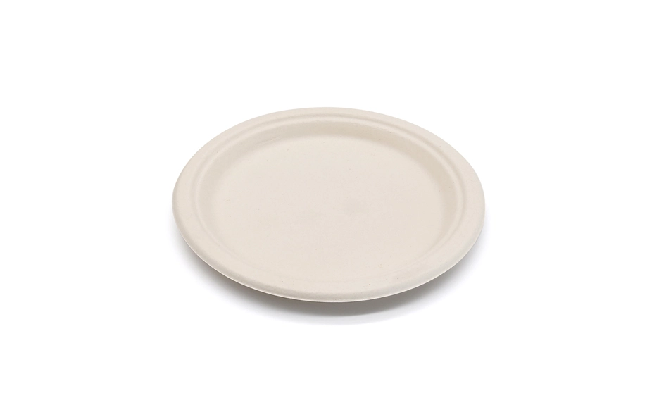 disposable plates for packing