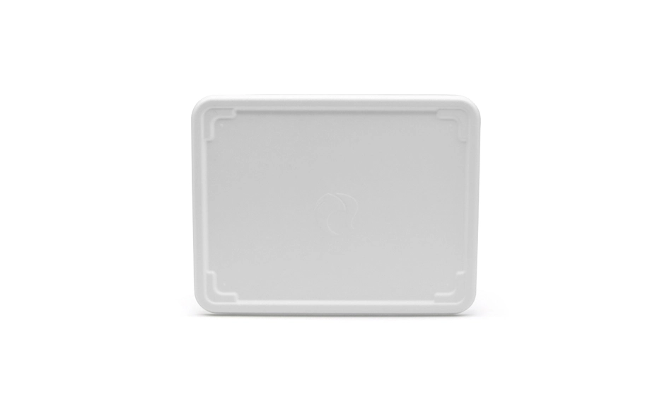 disposable sandwich trays