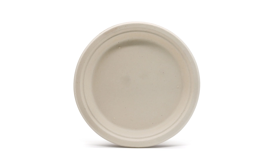 eco friendly biodegradable plates
