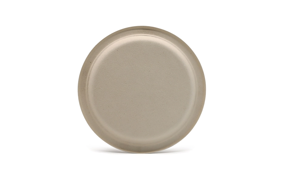eco friendly disposable dinnerware