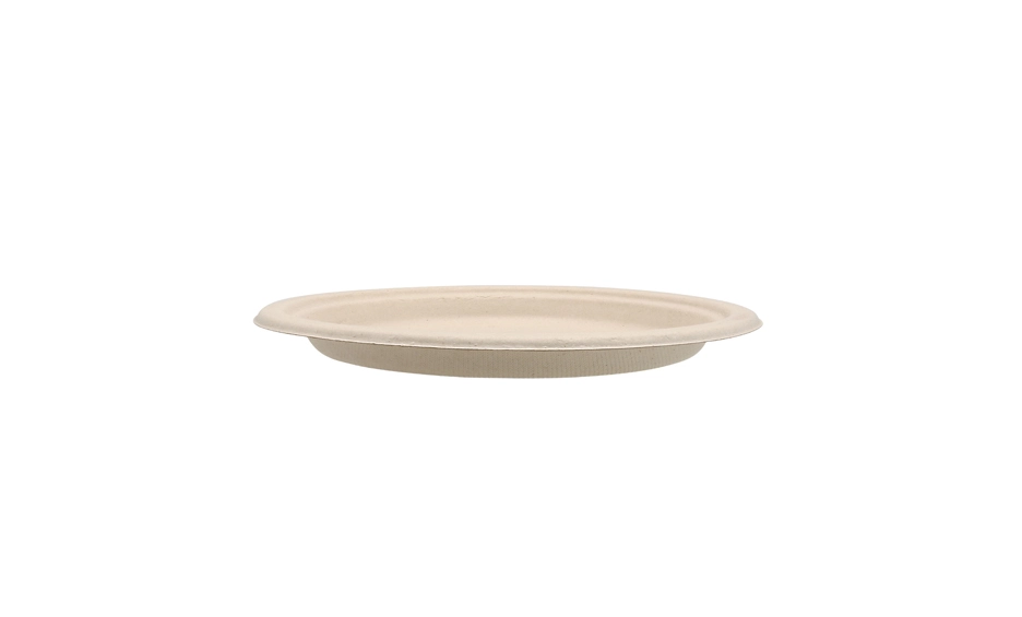 eco friendly disposable plates bulk