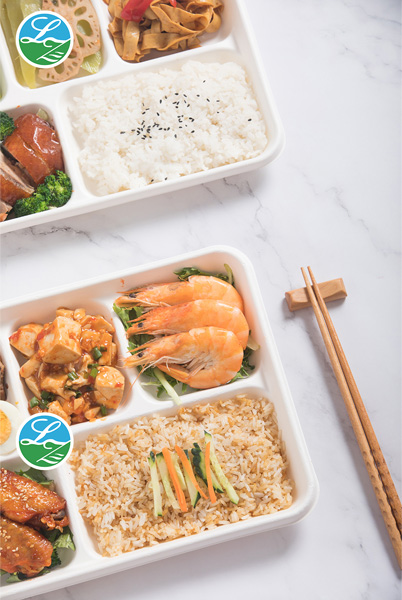 Wholesale Bagasse Trays: A Sustainable Choice for Your Business