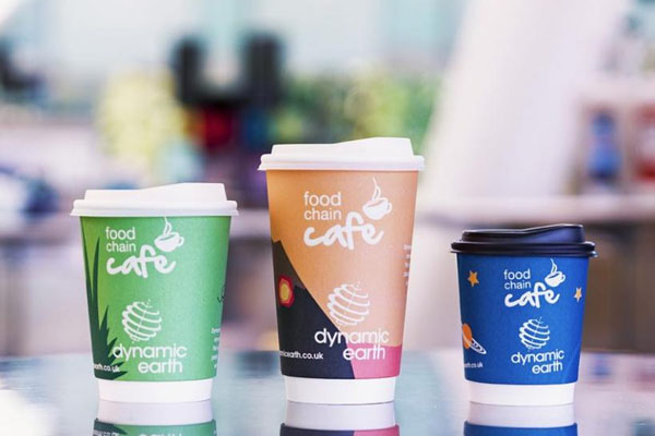 Dynamic Earth: Towards a sustainable future with eco-friendly packaging