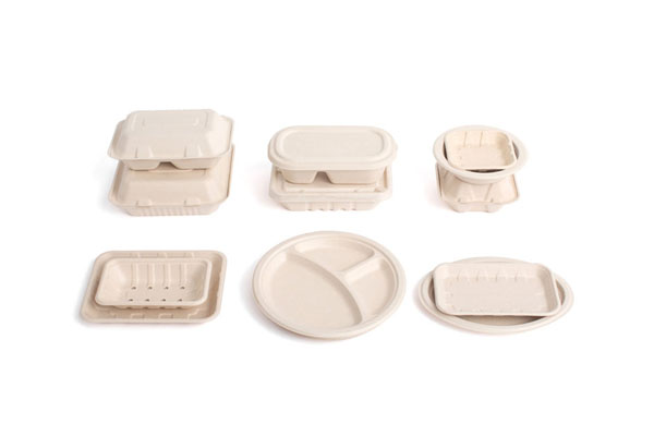 Dynamic Earth: Towards a sustainable future with eco-friendly packaging
